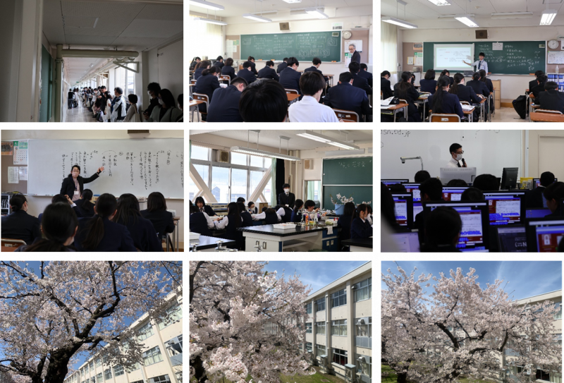 授業公開の様子と中庭の桜